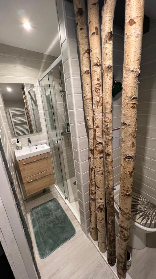 Chambre D Hote Petit Crussac Mauvezin  Luaran gambar
